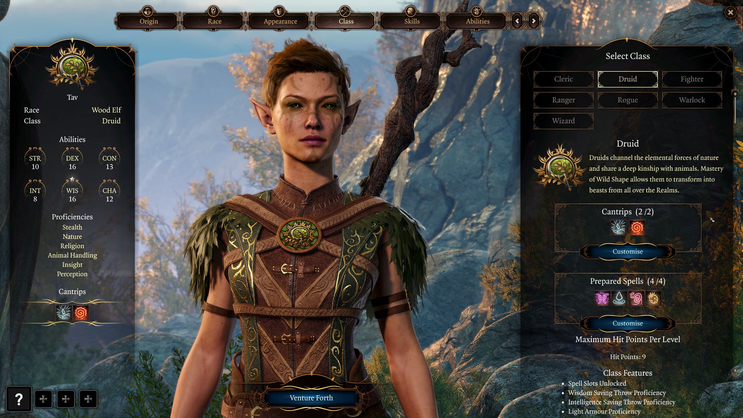 Baldur's Gate 3 Classes: The Druid Class