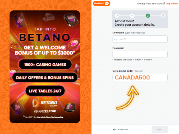 Screenshot: Where to Enter the Promo Code