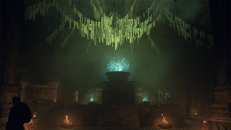 does Dragon's Dogma 2 have coop