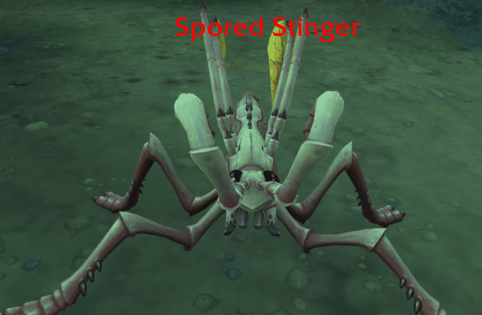 Spored stinger