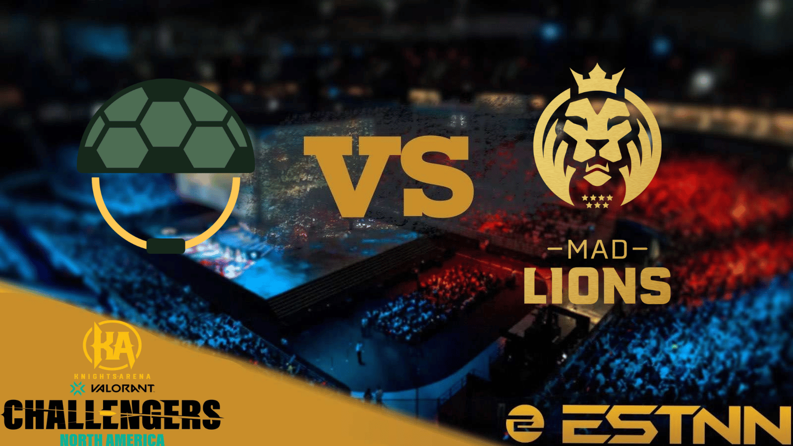 turtle-troop-vs-mad-lions-preview-and-predictions-vcl-na-play-in