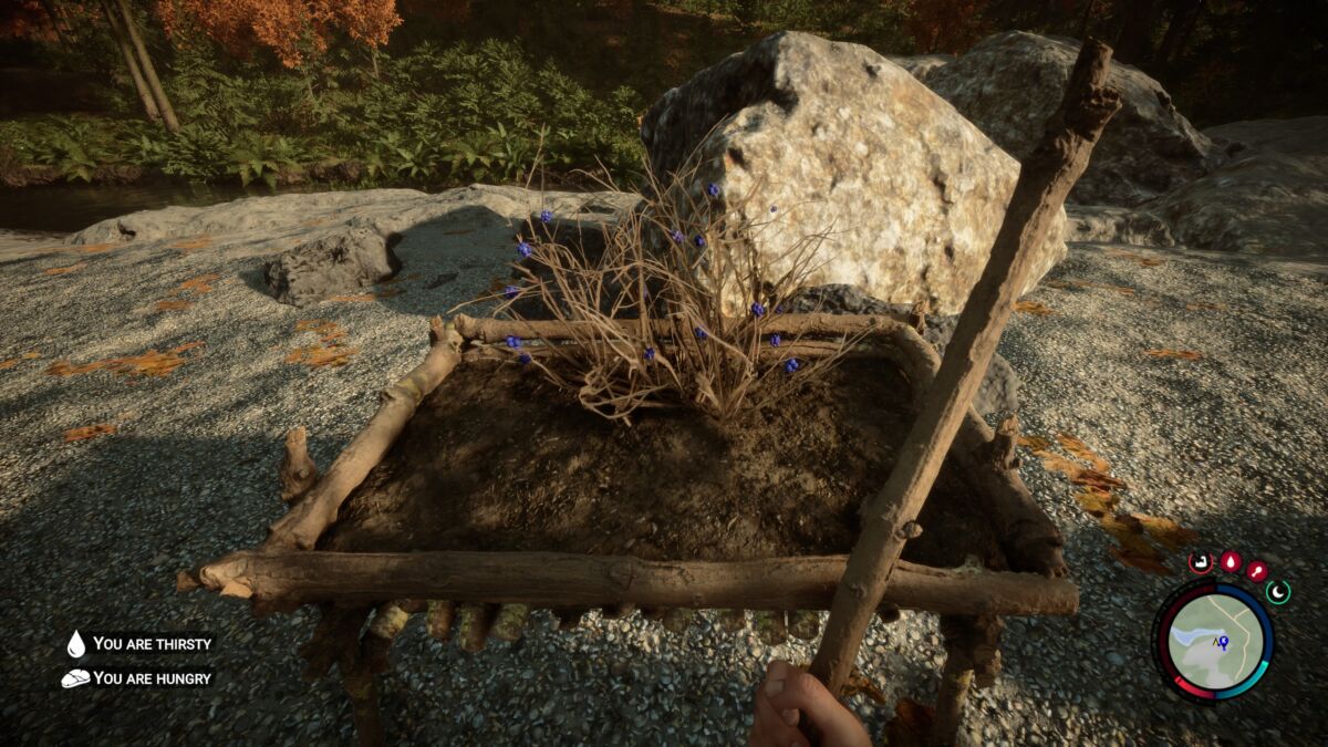 Sons of the Forest Plants How to Grow Them